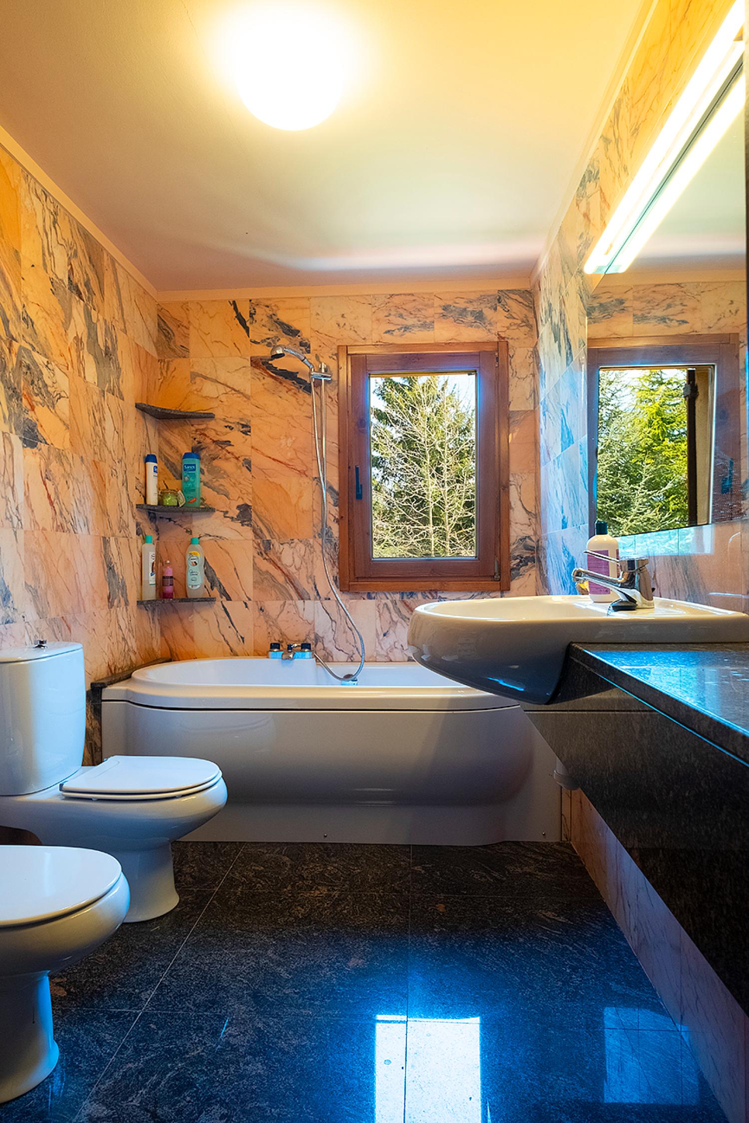  à vendre villa Vallfogona De Ripollès Ripollès 5