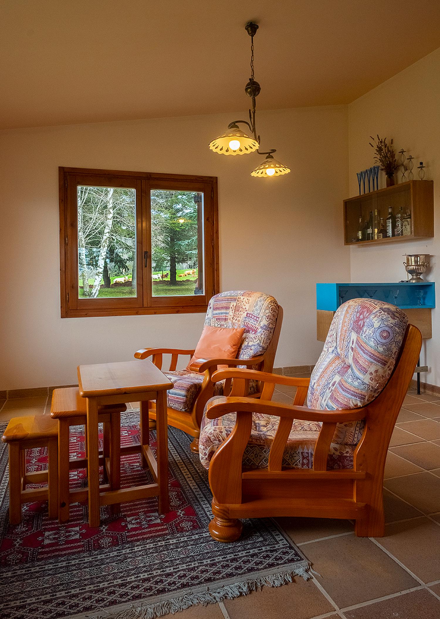  à vendre villa Vallfogona De Ripollès Ripollès 14