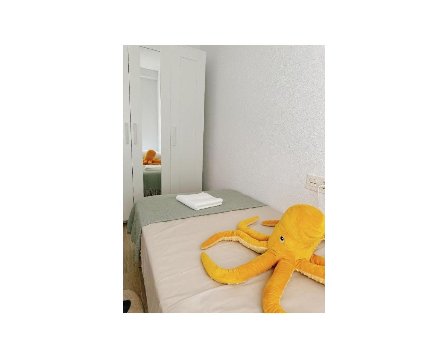  à vendre appartement Playa Del Cura Baix Segura 13