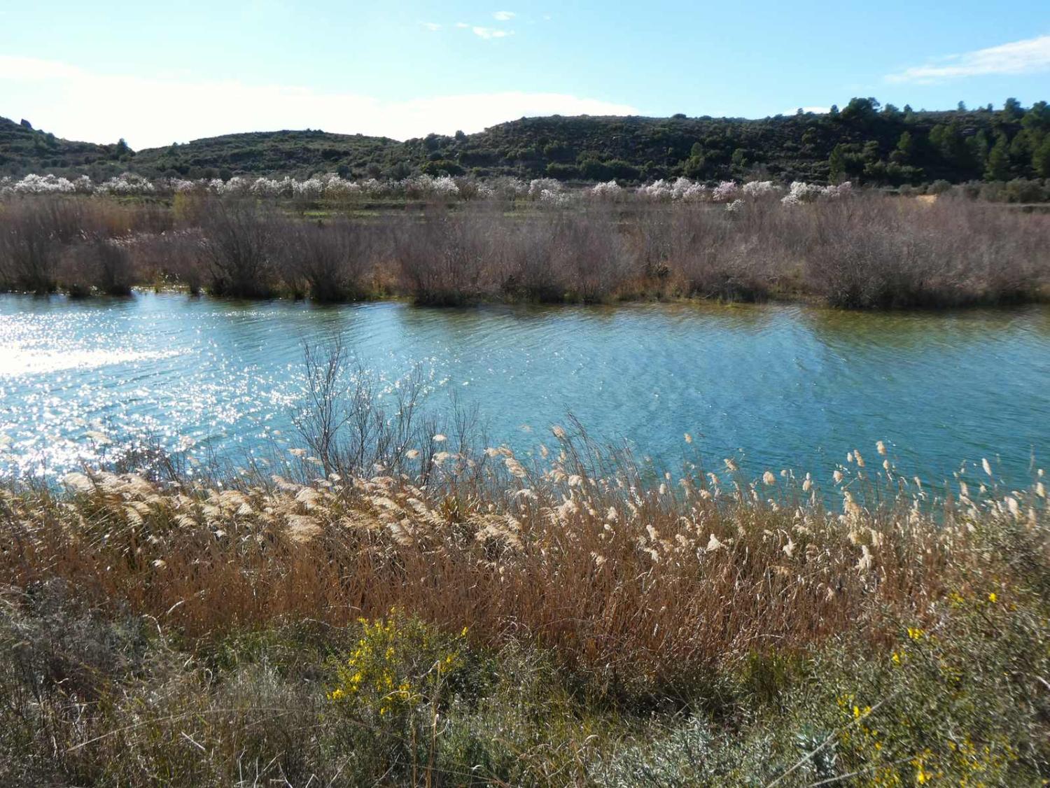  à vendre maison de campagne Fabara Bajo Aragón-Caspe 4