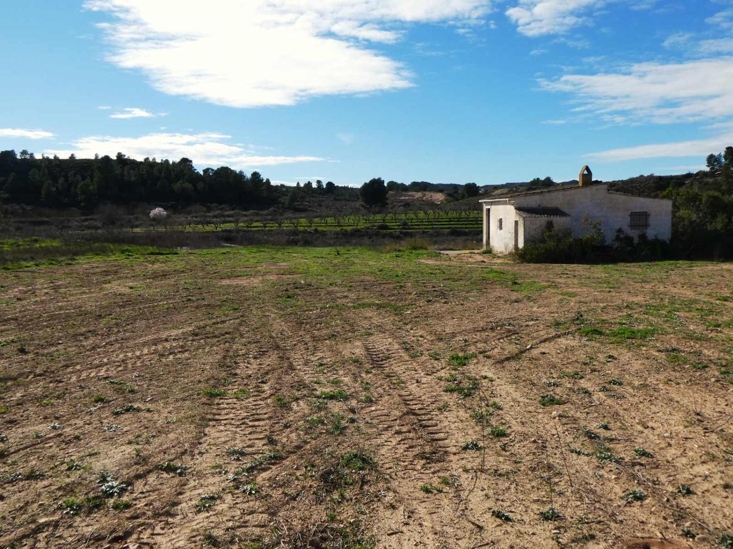  à vendre maison de campagne Fabara Bajo Aragón-Caspe 29