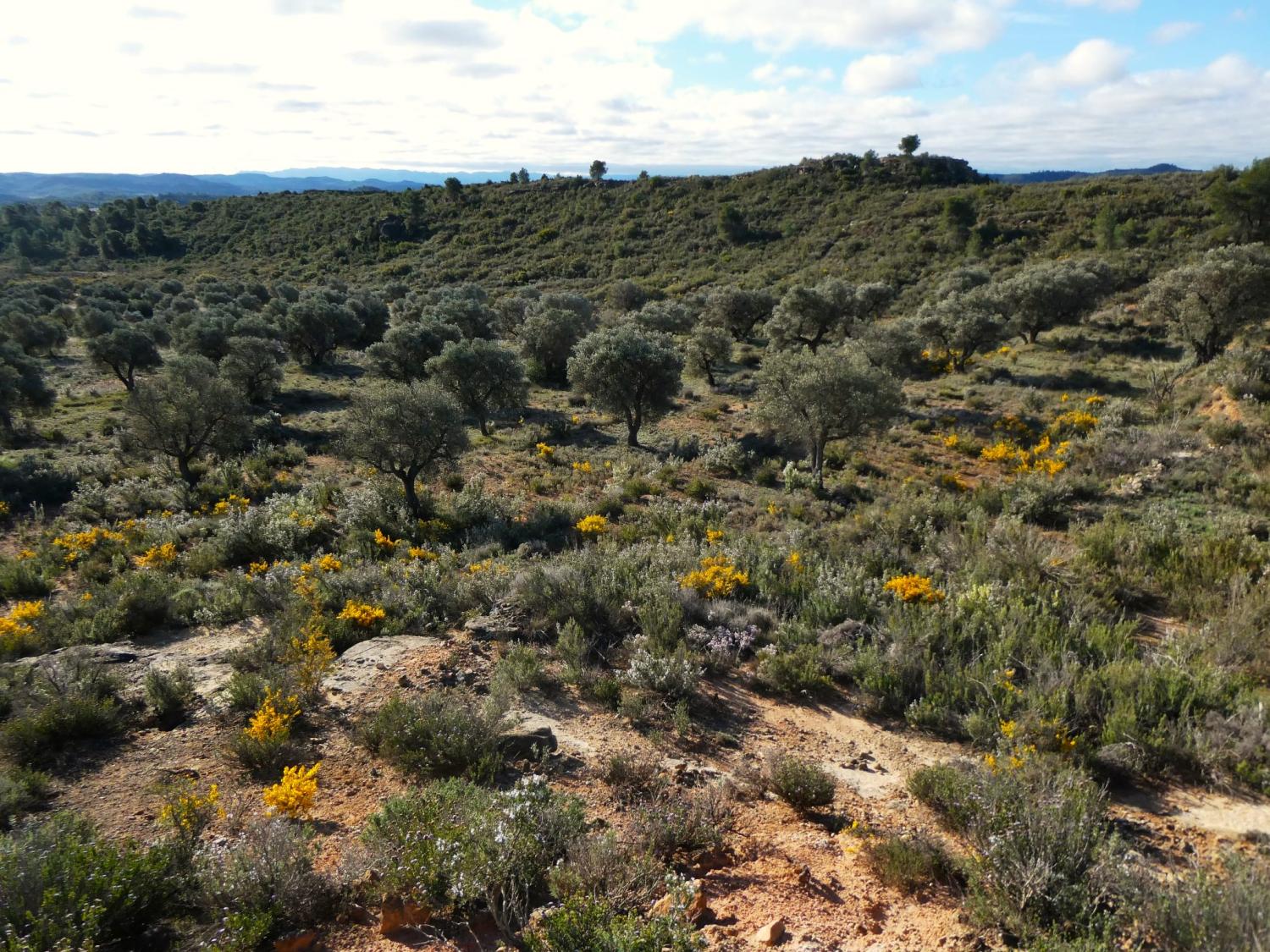  à vendre maison de campagne Fabara Bajo Aragón-Caspe 27