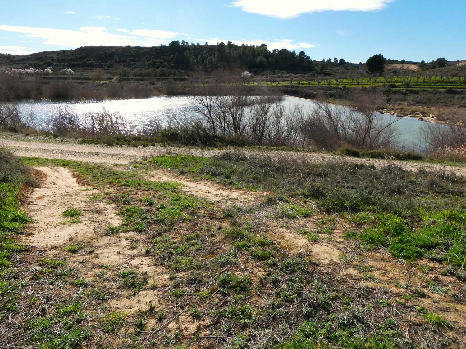  à vendre maison de campagne Fabara Bajo Aragón-Caspe 33