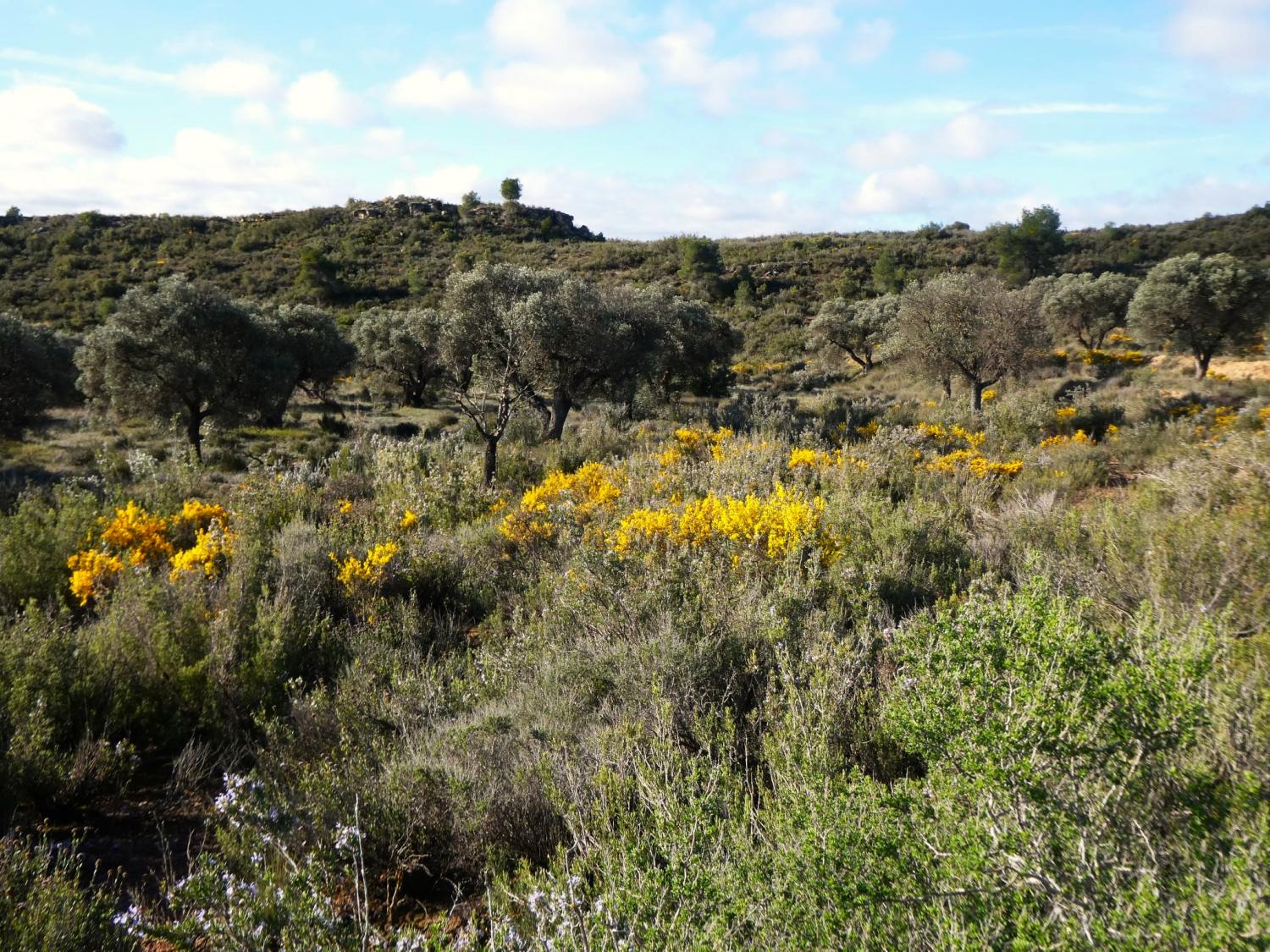  à vendre maison de campagne Fabara Bajo Aragón-Caspe 26