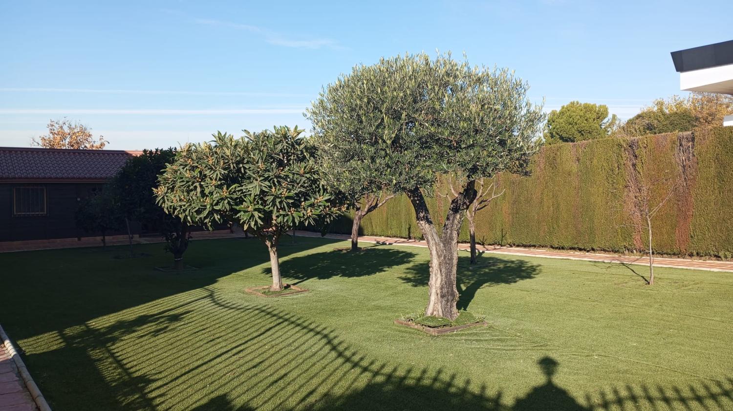  à vendre villa Alcalá La Real Sierra Sur 7