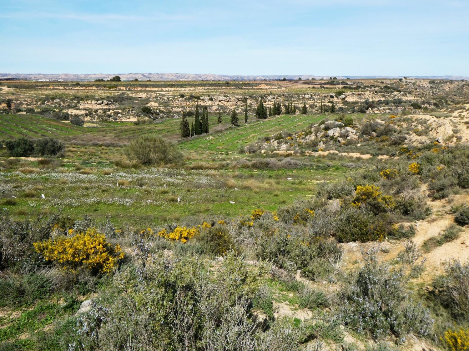  à vendre maison de campagne Caspe Bajo Aragón-Caspe 38