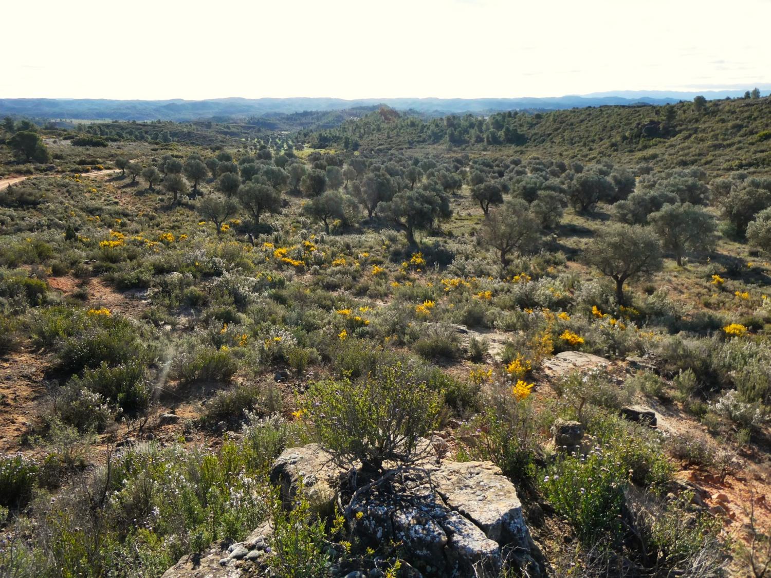  à vendre maison de campagne Fabara Bajo Aragón-Caspe 28