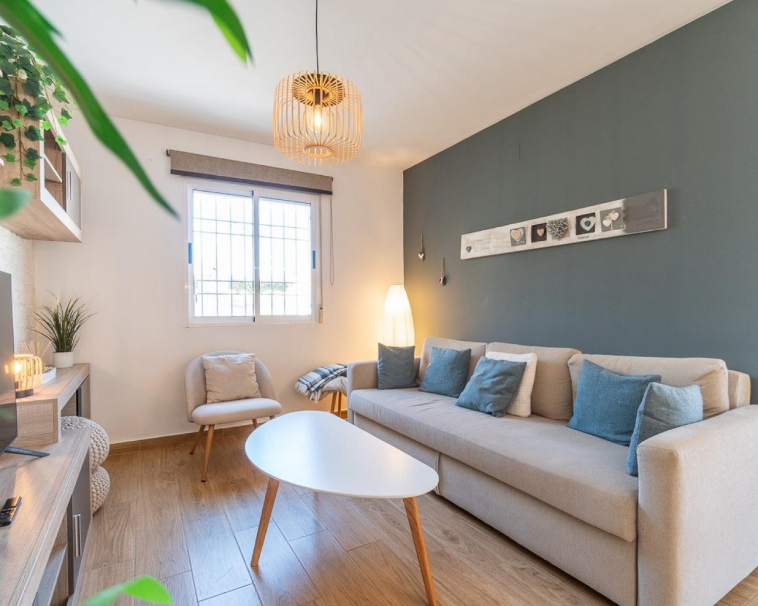  à vendre maison Torrevieja Baix Segura 20