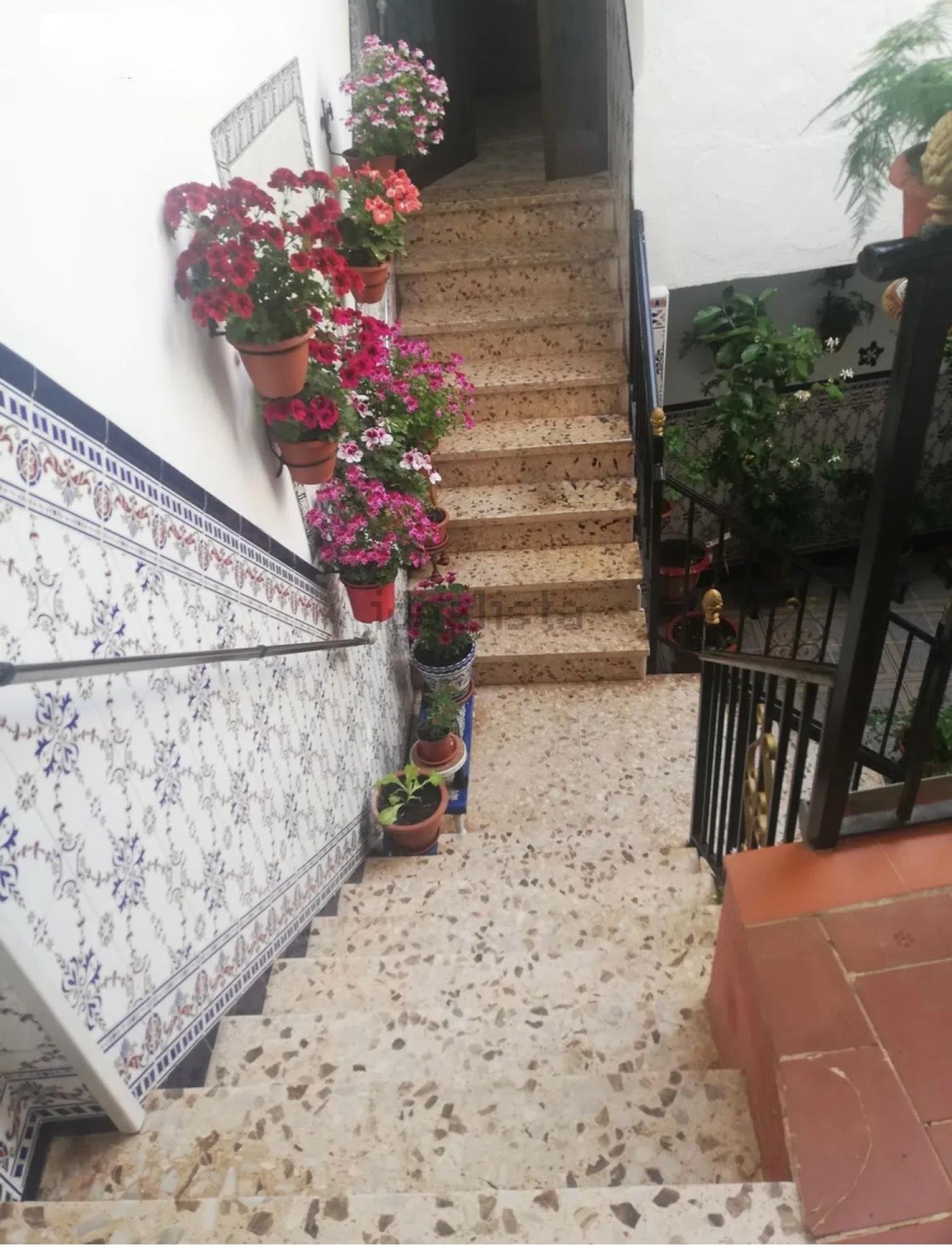  à vendre maison Montoro Alto Guadalquivir 21