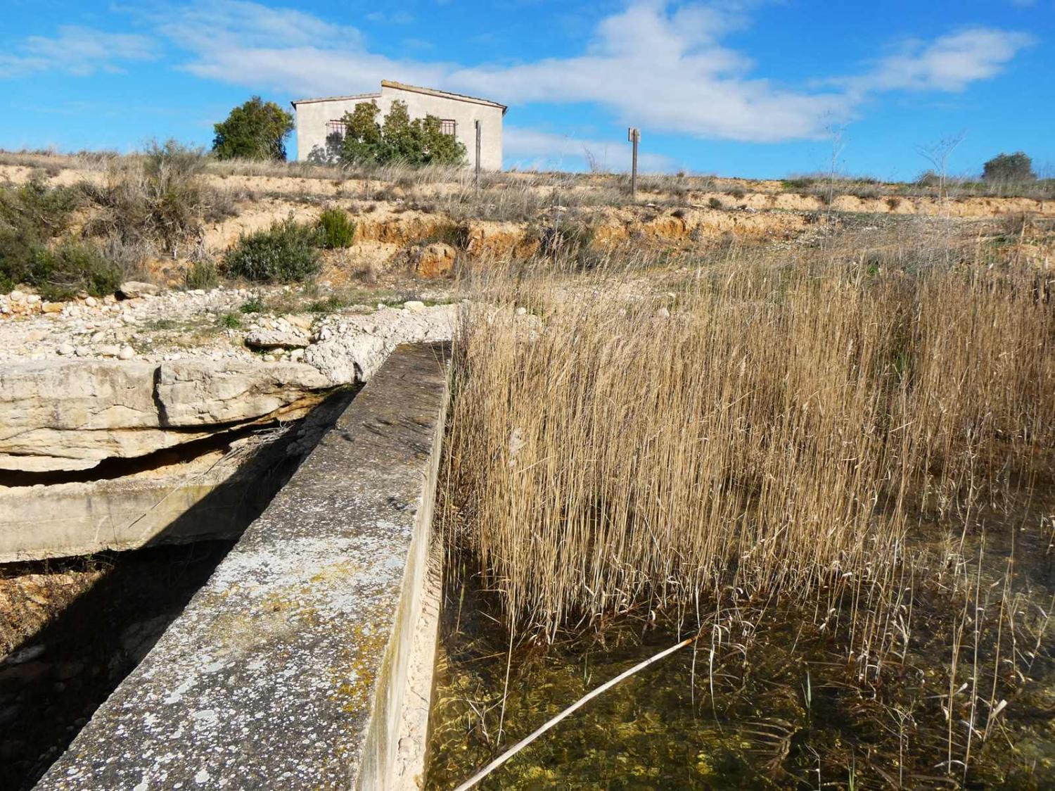  à vendre maison de campagne Fabara Bajo Aragón-Caspe 24