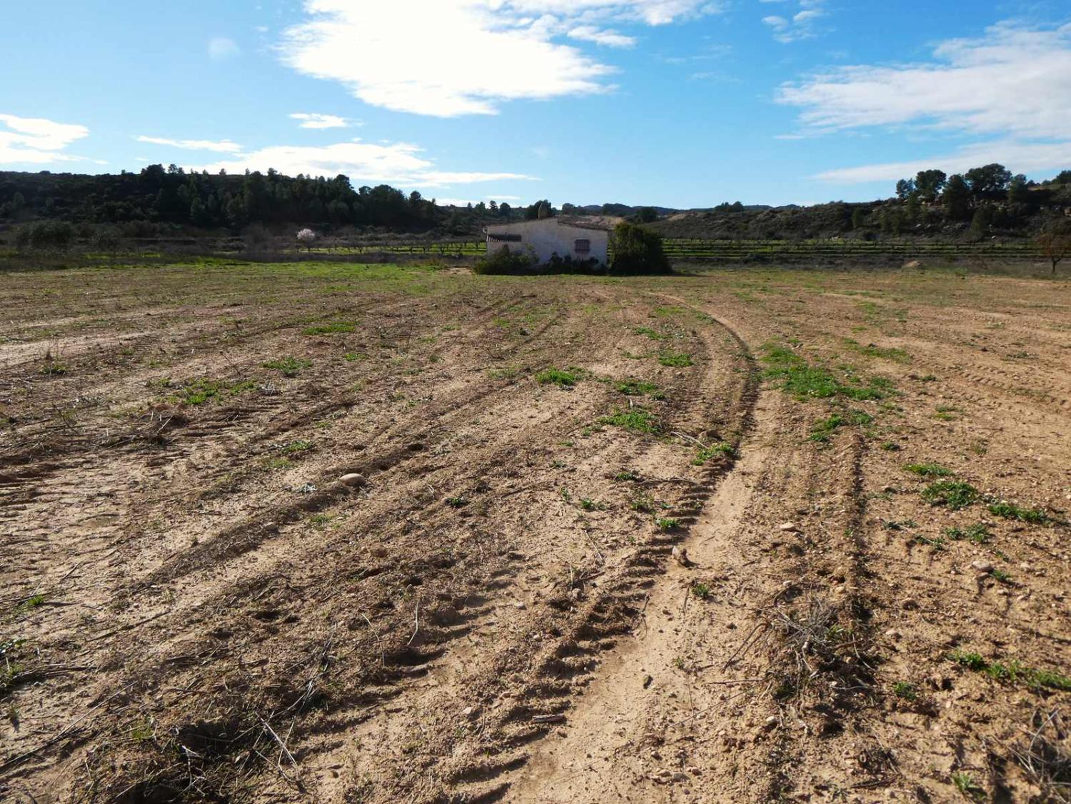  à vendre maison de campagne Fabara Bajo Aragón-Caspe 30