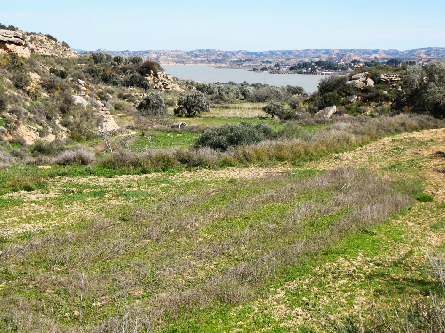  à vendre maison de campagne Caspe Bajo Aragón-Caspe 32
