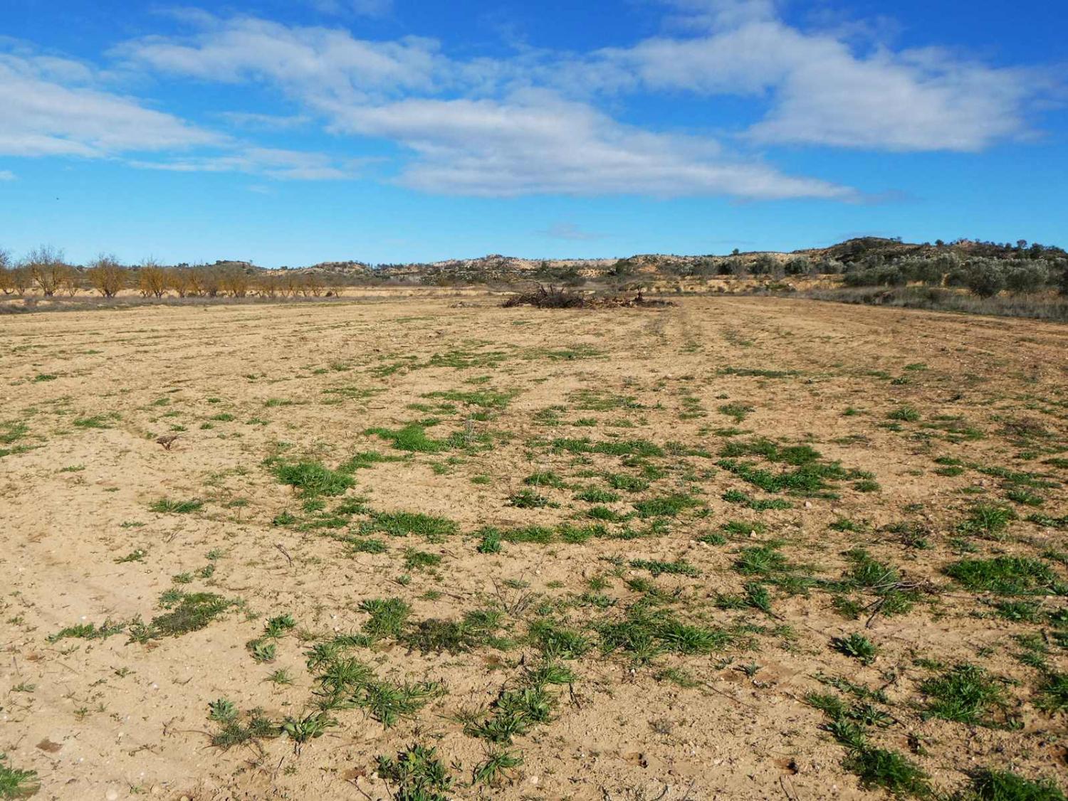 à vendre maison de campagne Fabara Bajo Aragón-Caspe 17