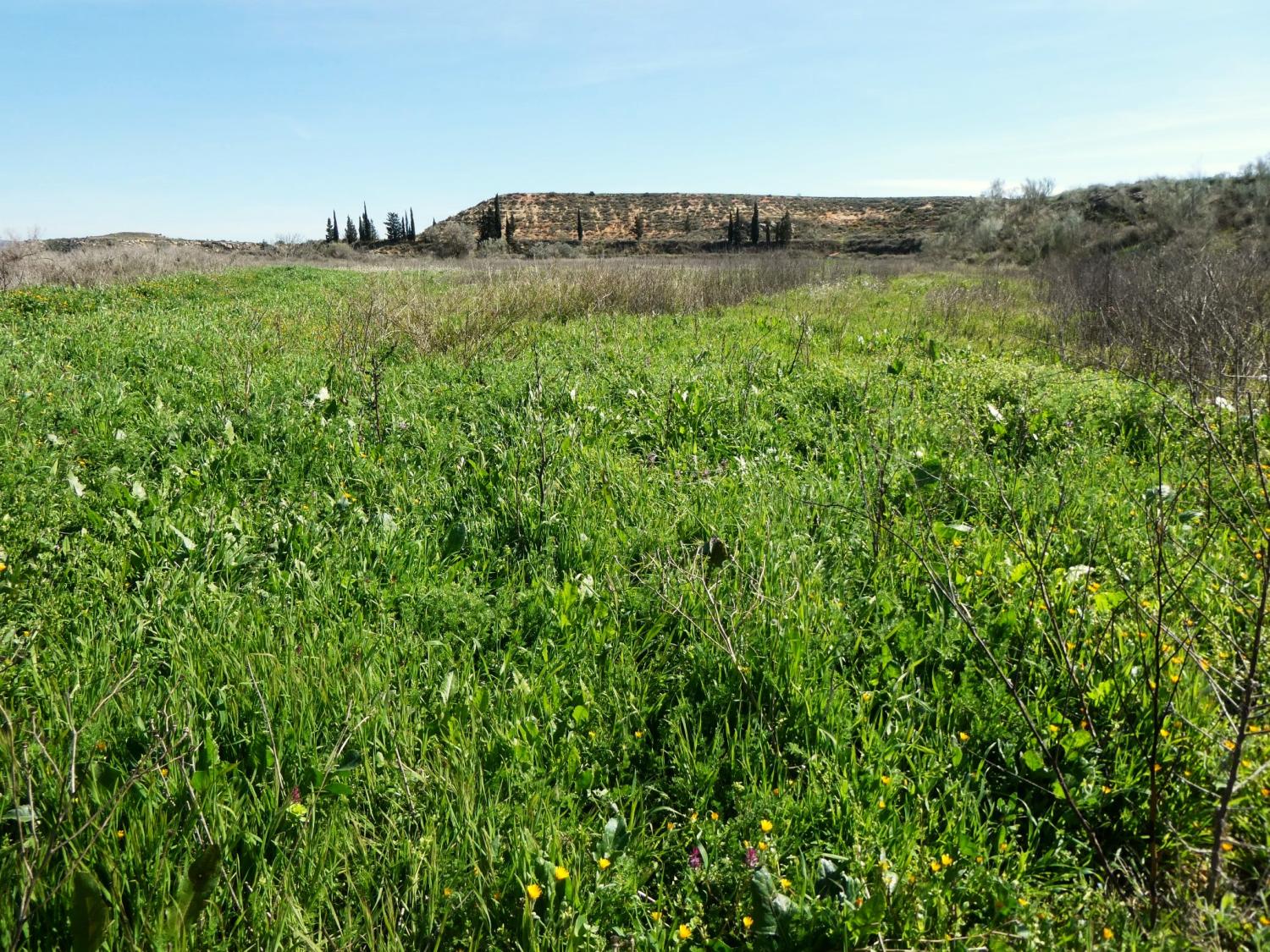  à vendre maison de campagne Caspe Bajo Aragón-Caspe 33
