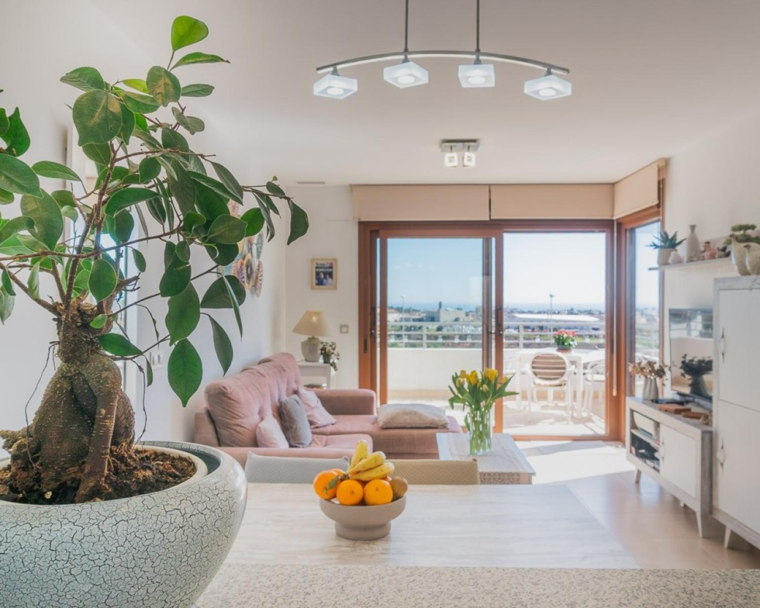  à vendre appartement Dehesa De Campoamor Baix Segura 26