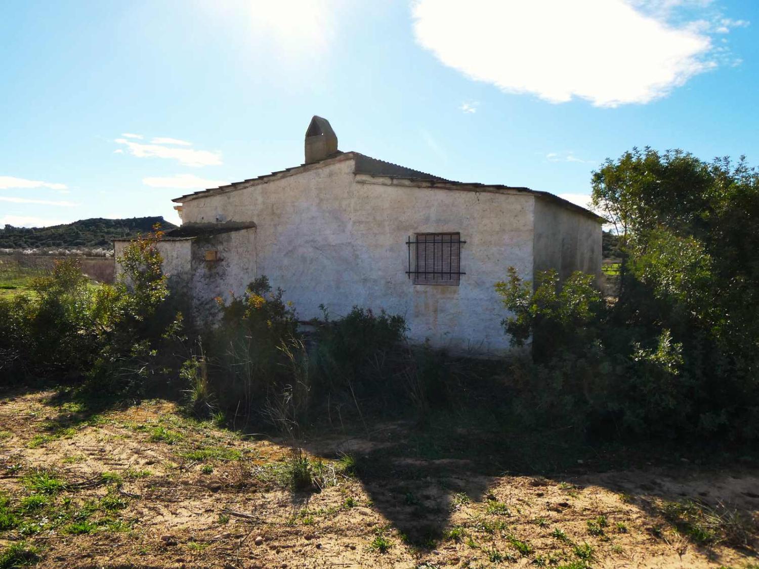  à vendre maison de campagne Fabara Bajo Aragón-Caspe 21