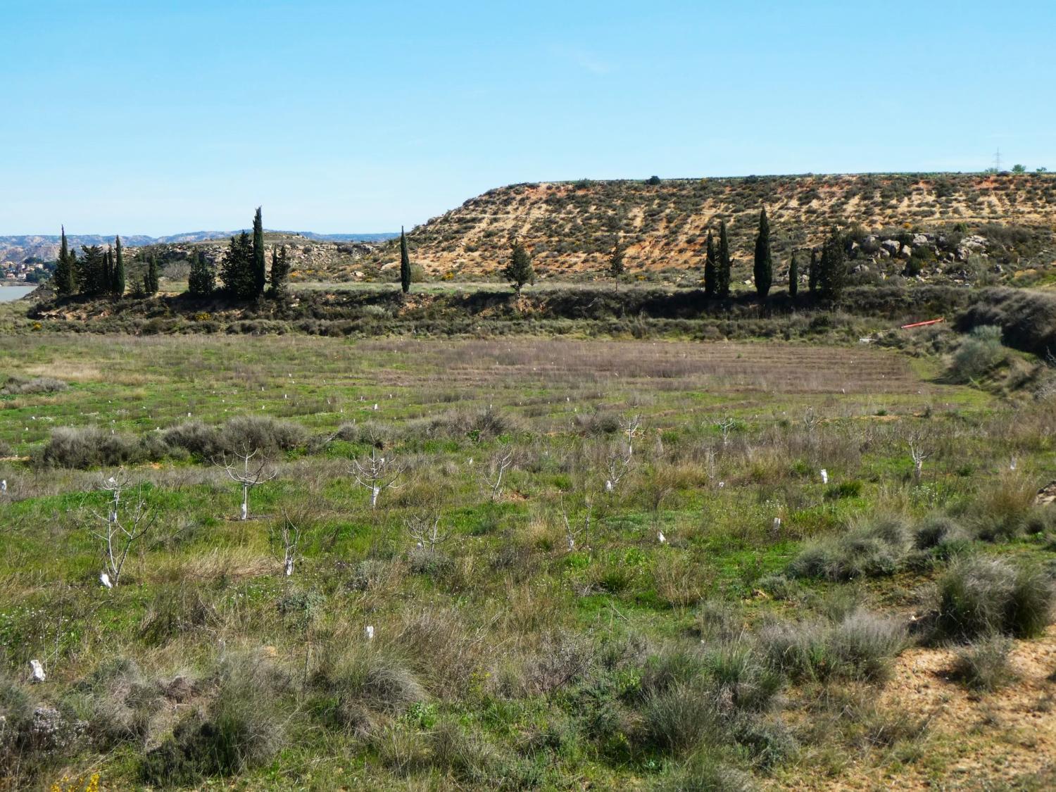  à vendre maison de campagne Caspe Bajo Aragón-Caspe 34