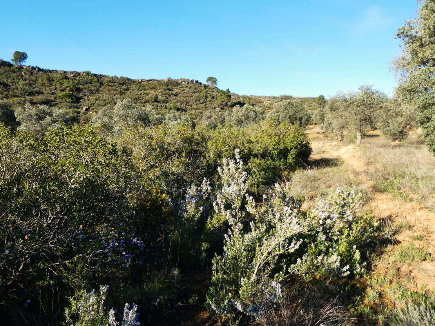  à vendre maison de campagne Fabara Bajo Aragón-Caspe 14