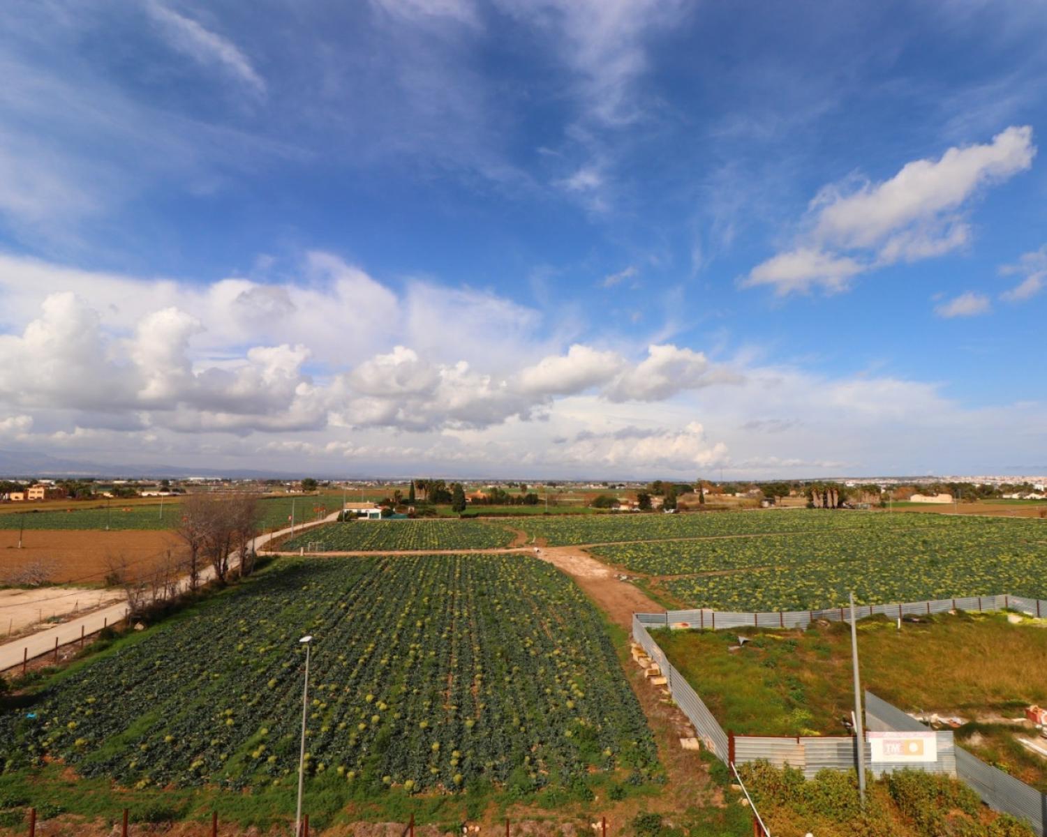  à vendre appartement Daya Vieja Baix Segura 5