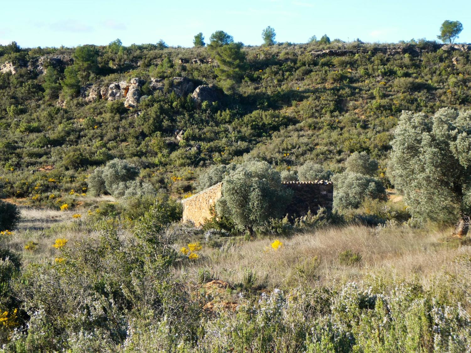  à vendre maison de campagne Fabara Bajo Aragón-Caspe 4