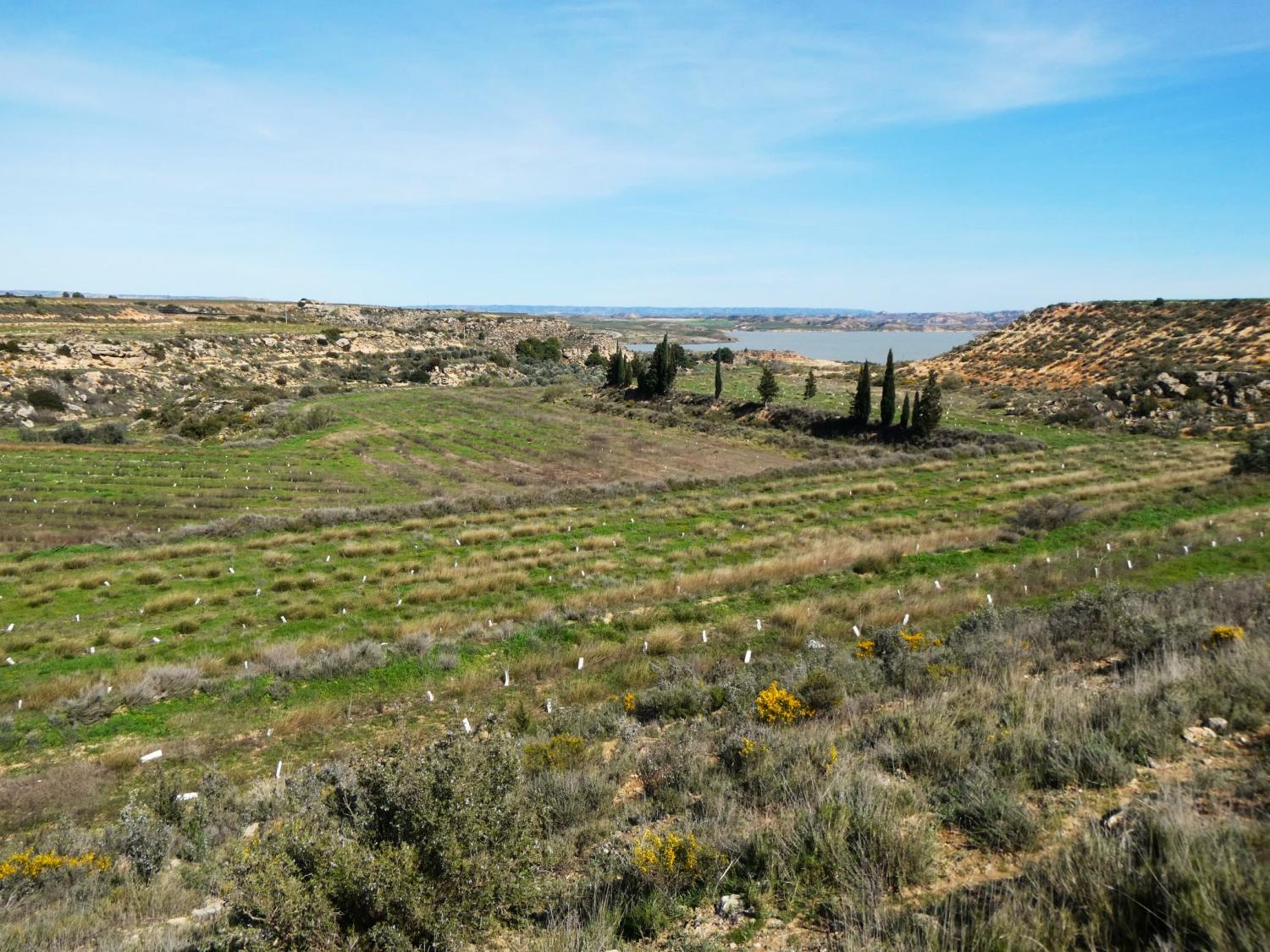  à vendre maison de campagne Caspe Bajo Aragón-Caspe 3