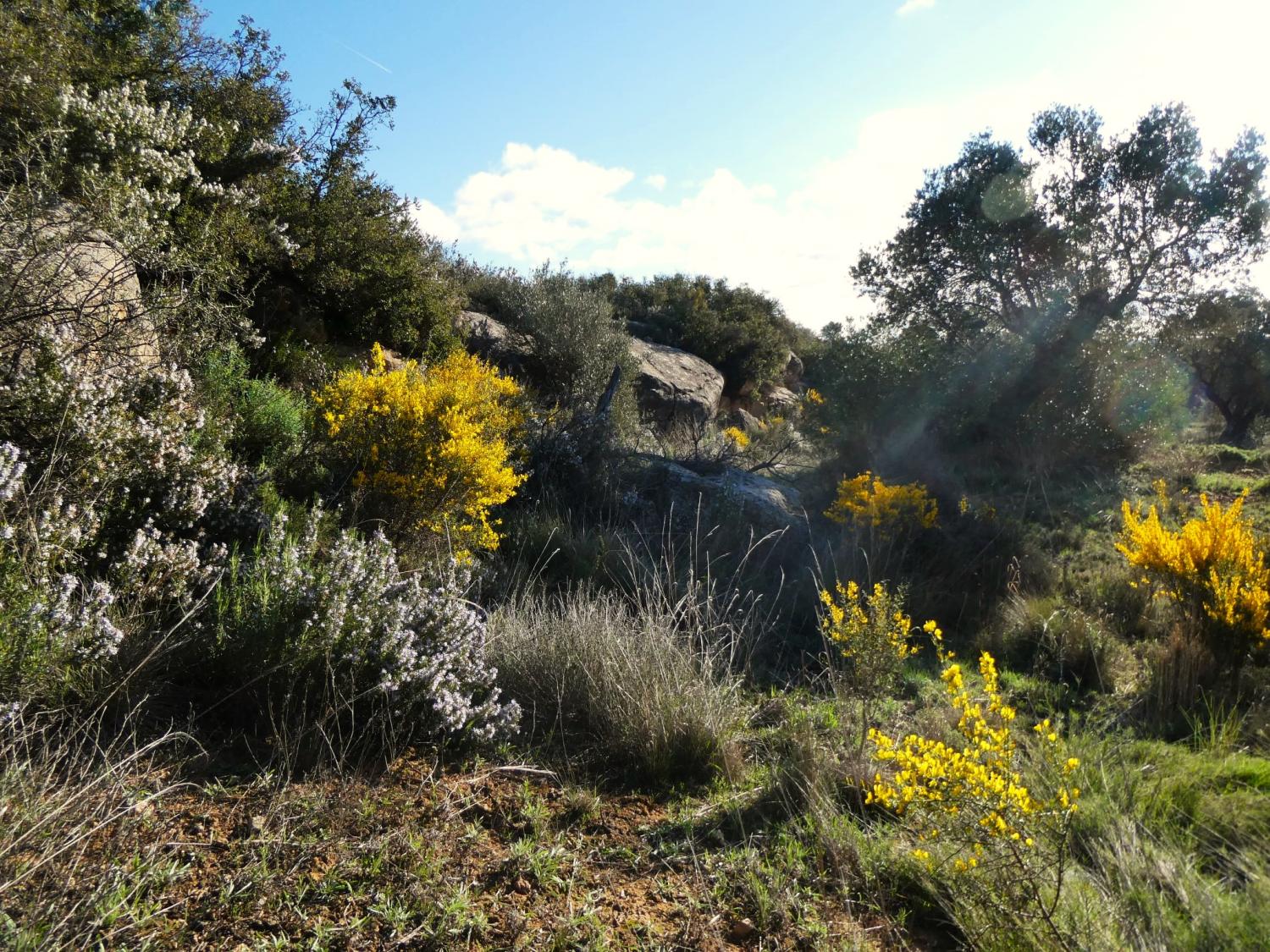  à vendre maison de campagne Fabara Bajo Aragón-Caspe 21