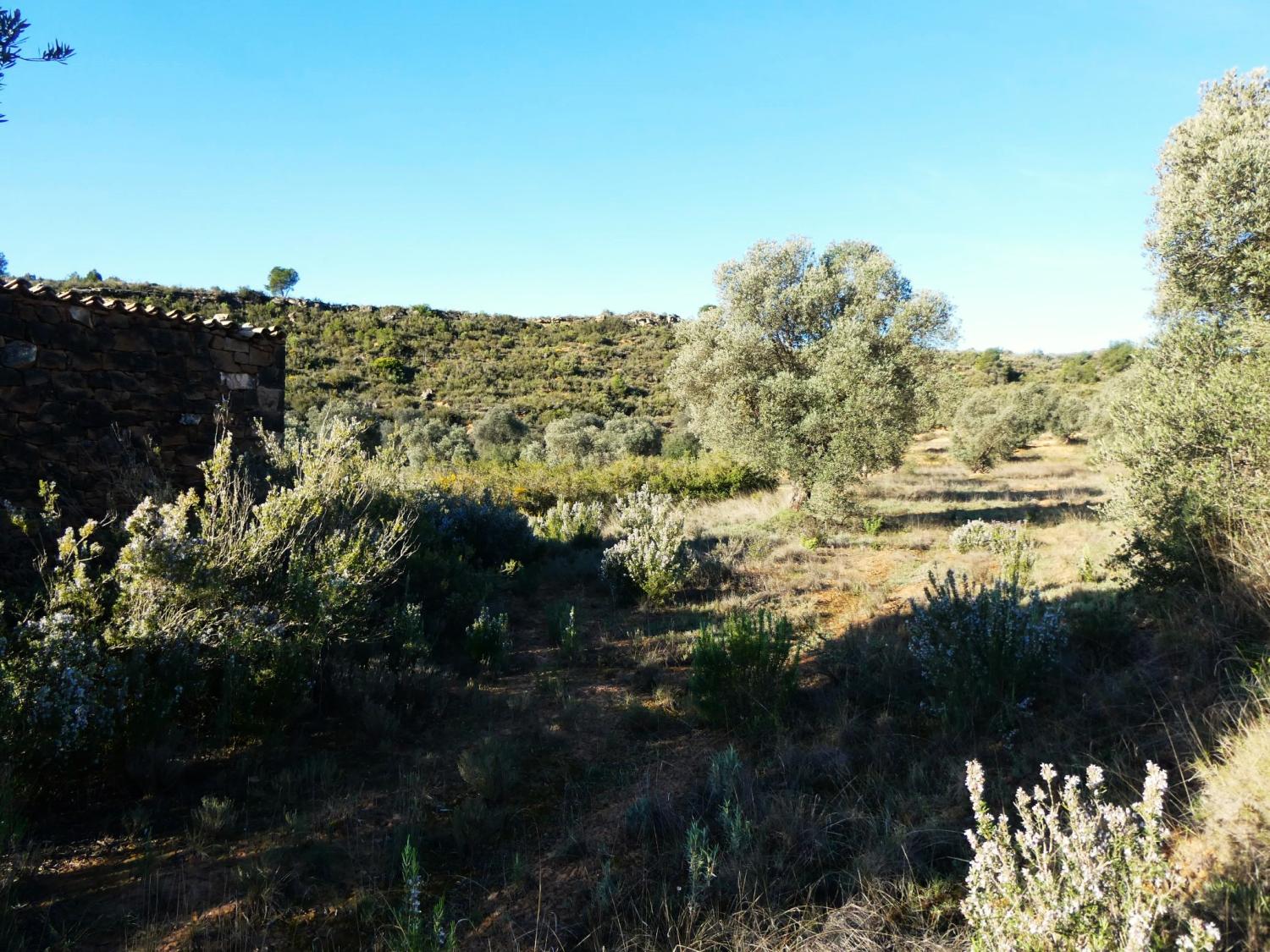  à vendre maison de campagne Fabara Bajo Aragón-Caspe 6