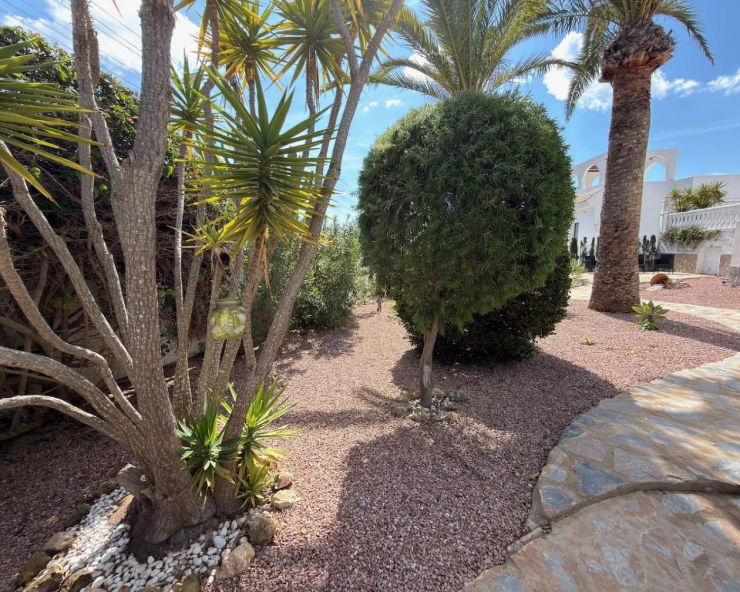  à vendre villa Guardamar Del Segura Baix Segura 17