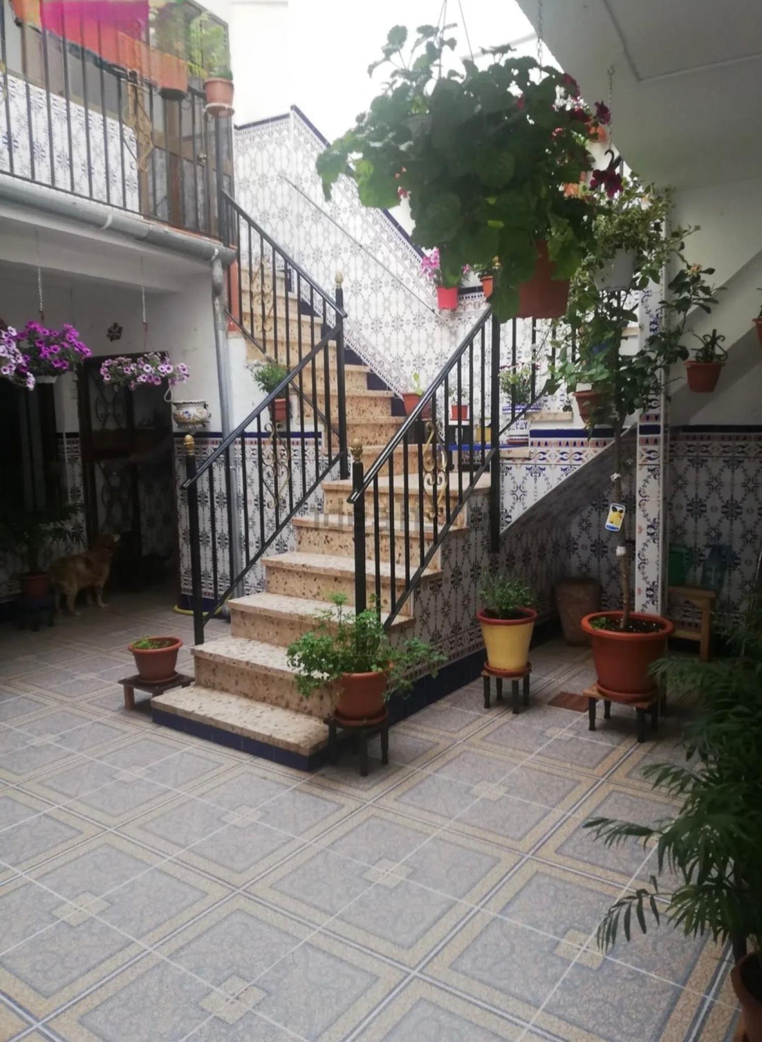  à vendre maison Montoro Alto Guadalquivir 2