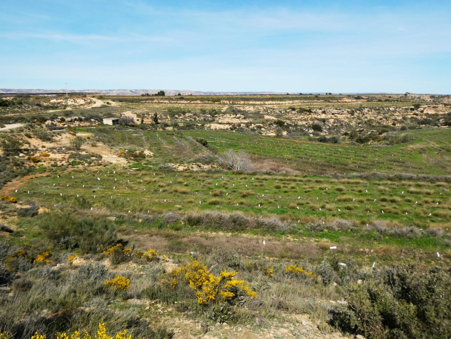  à vendre maison de campagne Caspe Bajo Aragón-Caspe 4