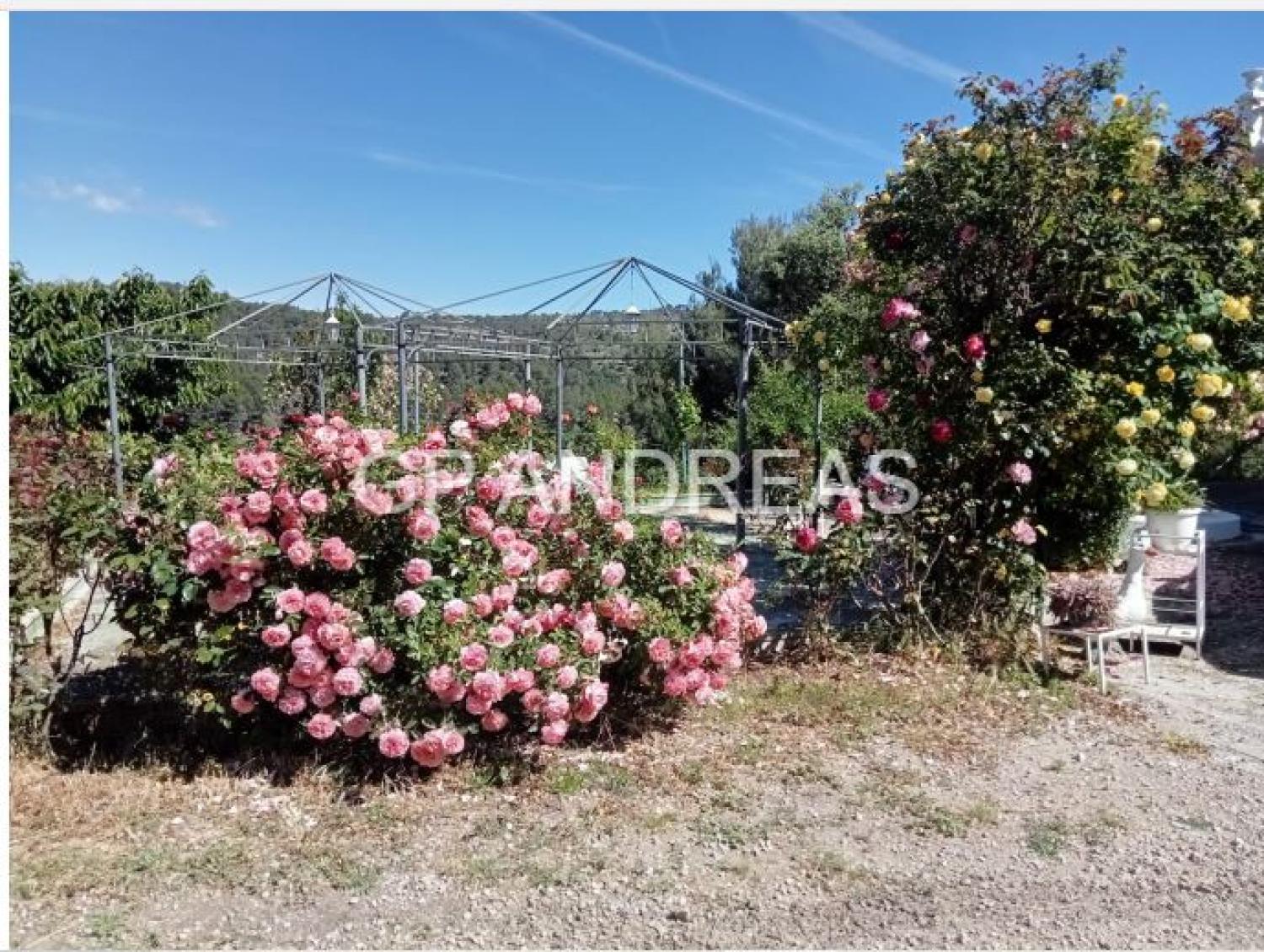  à vendre villa Alcoi 03803 Alcoia 40