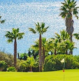 Propriétés proches des terrains de golf