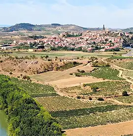 Propriétés dans les célèbres régions viticoles d’Espagne